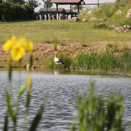 Kur-& Landhotel Borstel - Treff Dabel Buitenkant foto