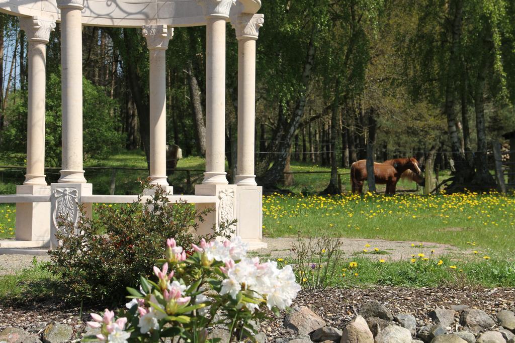 Kur-& Landhotel Borstel - Treff Dabel Buitenkant foto